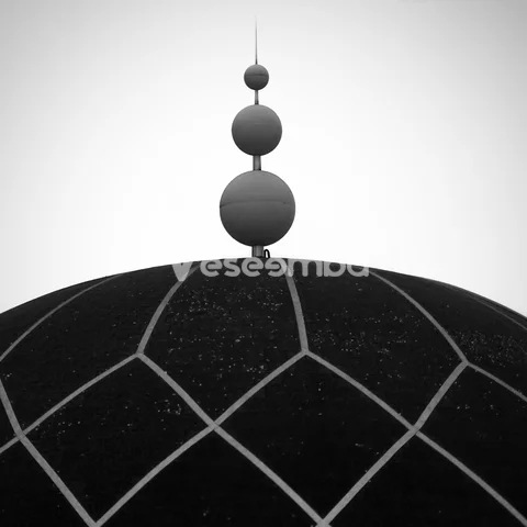 Monochrome 313