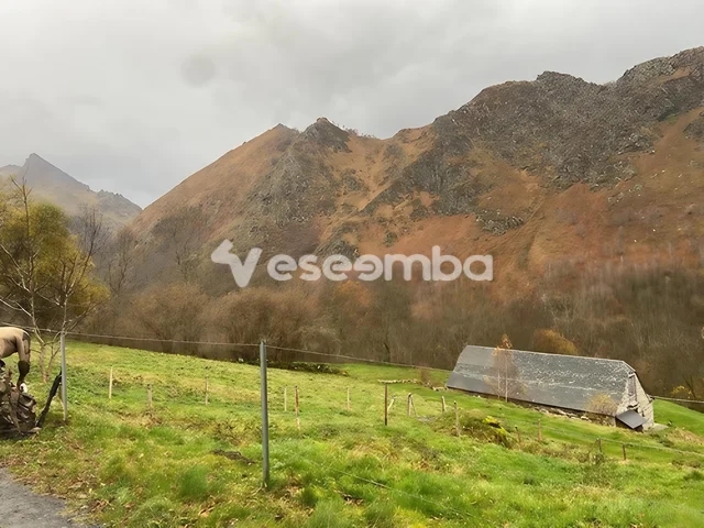 Beau Paysage