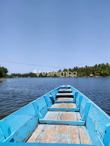 Pirogue