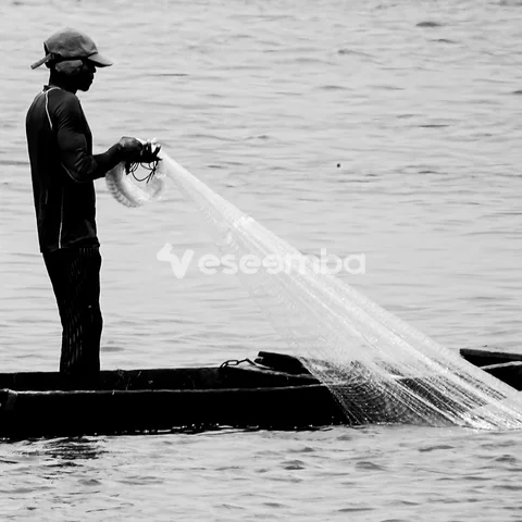 Monochrome 313