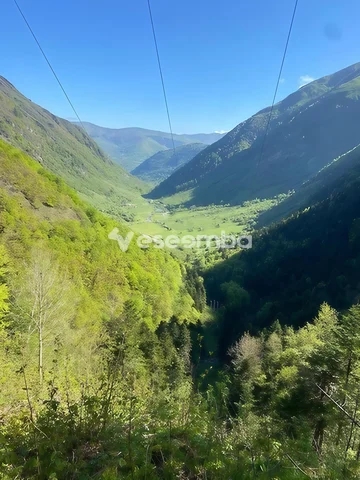 Verdure