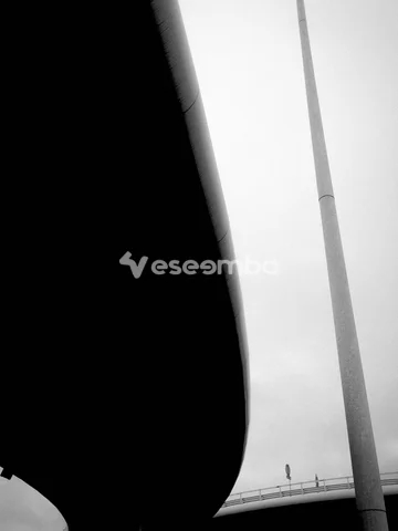 MONOCHROME 313