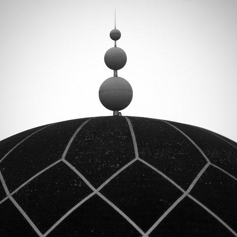 Monochrome 313