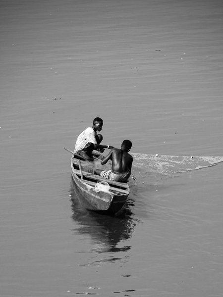 Monochrome 313