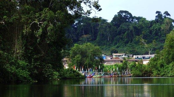 Paysage