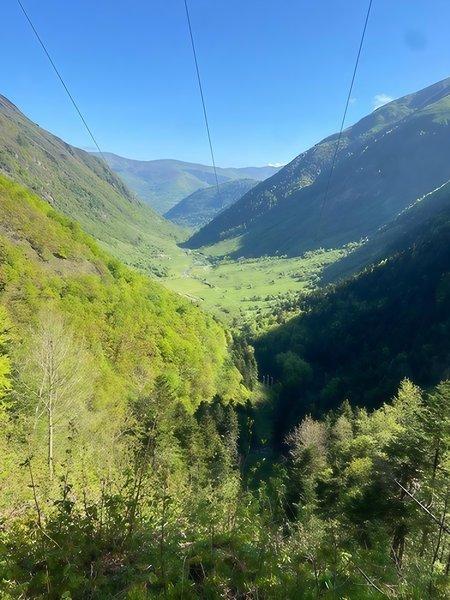 Verdure