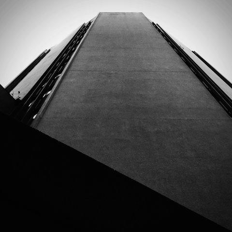 Monochrome 313