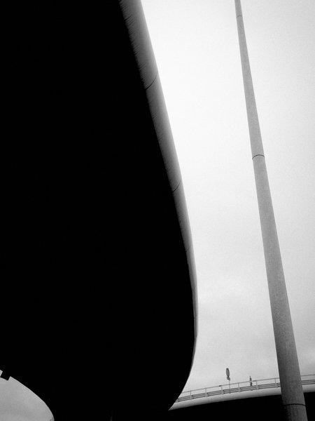 MONOCHROME 313
