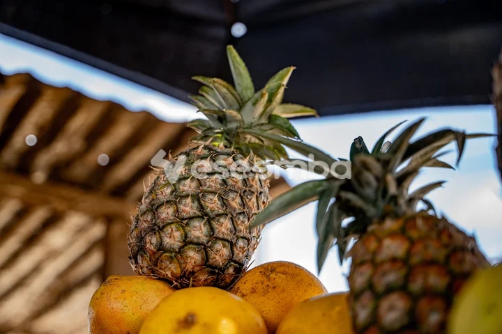 Ananas